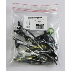 A517004 Sfnbb Set Agrafe Montaj Usa A6 1997 Restagraf