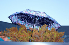 umbrela unisex