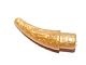 53451-115 Hoorn klein (oa voor Vikinghelm) goud, parel NIEUW *0K000