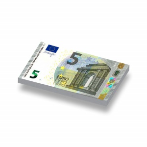 CUSE8160 Tegel 1x2 5 Euro wit *0A000