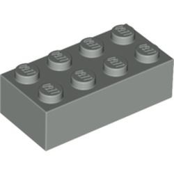 3001-9 Steen 2x4 lichtgrijs (klassiek) NIEUW *5K0000