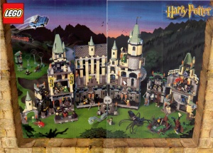 4189978 Harry Potter Poster, Chamber of Secrets Series gebruikt *