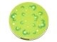 14769pb093-34 Tegel 2x2 Groene en witte plakken lime NIEUW *0L0T1