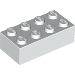 3001-1G Steen 2x4 wit gebruikt *5K0000