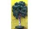 FTBirch1-6G Berk, plat (50-er jaren versie) Groen gebruikt loc