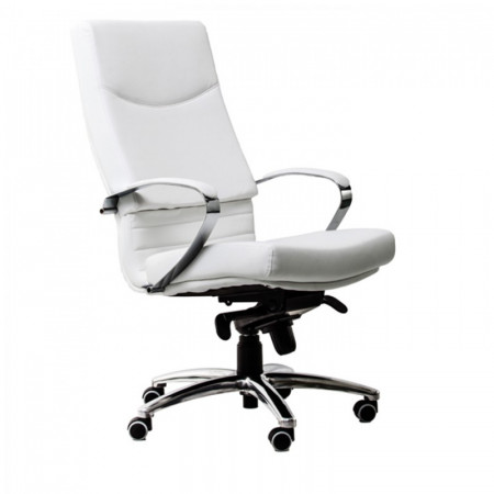 Scaun ergonomic ecopiele pentru birou Alb SSB-6