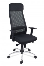 Scaun ergonomic pentru birouri SSB-2