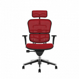 Scaun executiv, directorial confortabil cu un design modern SSB-25