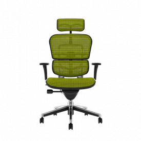 Scaun executiv, directorial confortabil cu un design modern SSB-25