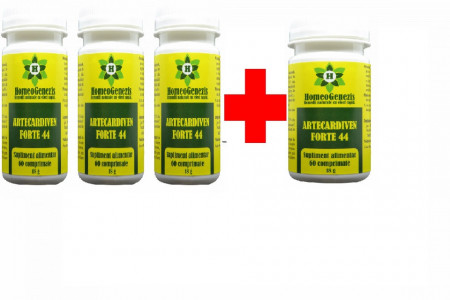 Artecardiven Forte 3 + 1