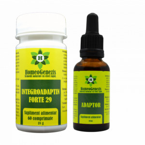 Set Forte - Adaptor & Integroadaptin