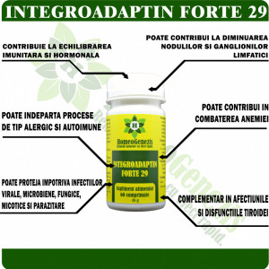 Integroadaptin Forte 29 - 60 comp Data expirarii: 22.10.2024