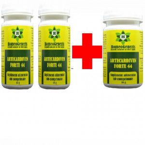 Artecardiven Forte 3 + 1