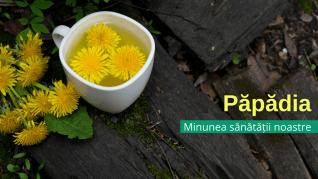 Papadia - minunea sanatatii noastre Papadia - minunea sanatatii noastre