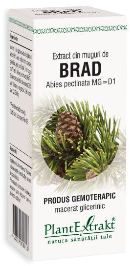 Extract din muguri de brad 50 ml (ABIES PECT)