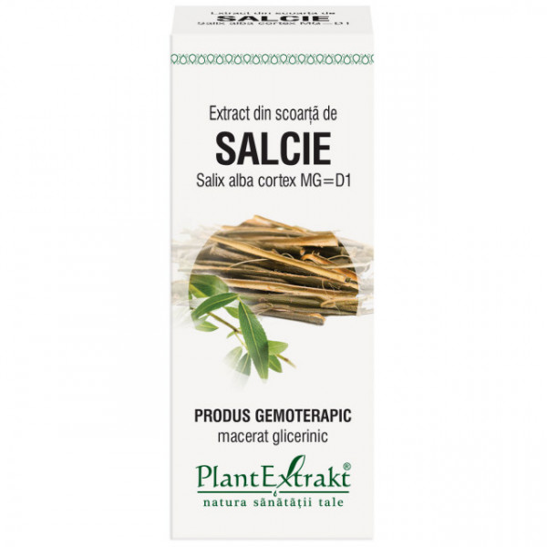 Extract din scoarta de salcie (SALIX ALBA scoarta)
