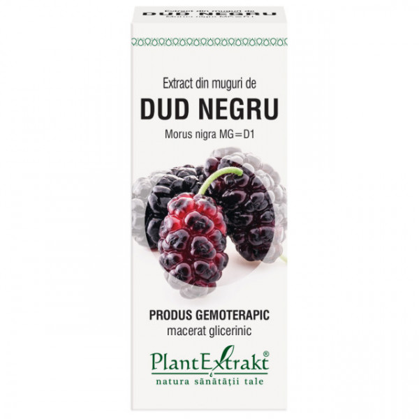 Extract din muguri de dud negru (MORUS NIGRA .)