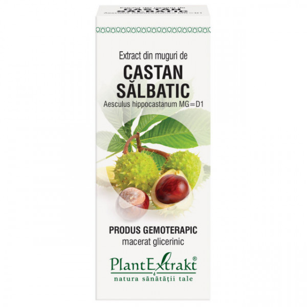 Extract din muguri de castan salbatic 50 ml (AESCULUS HIPP)