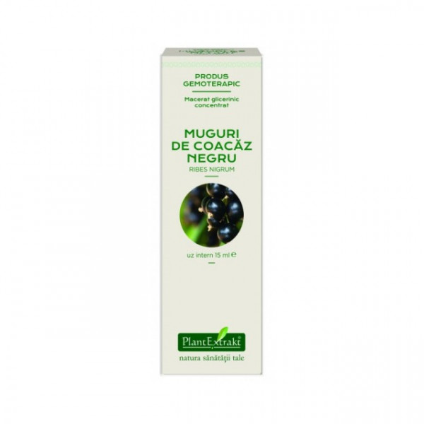 Extract concentrat din muguri de coacaz negru (RIBES NIGRUM)