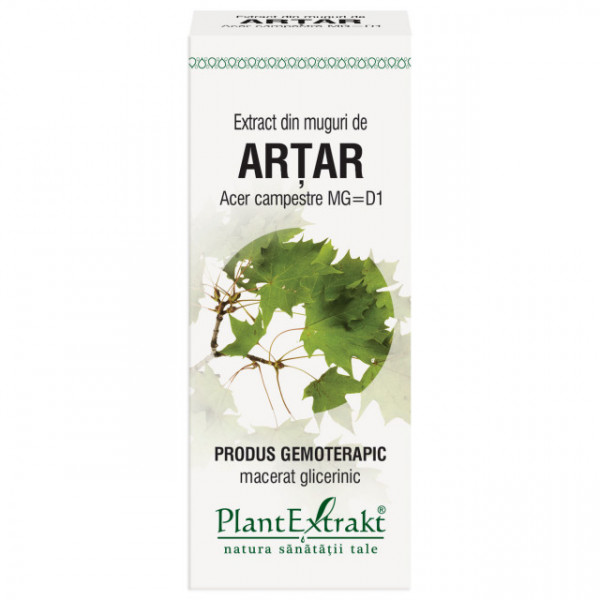 Extract din muguri de artar 50 ml (ACER CAMP)
