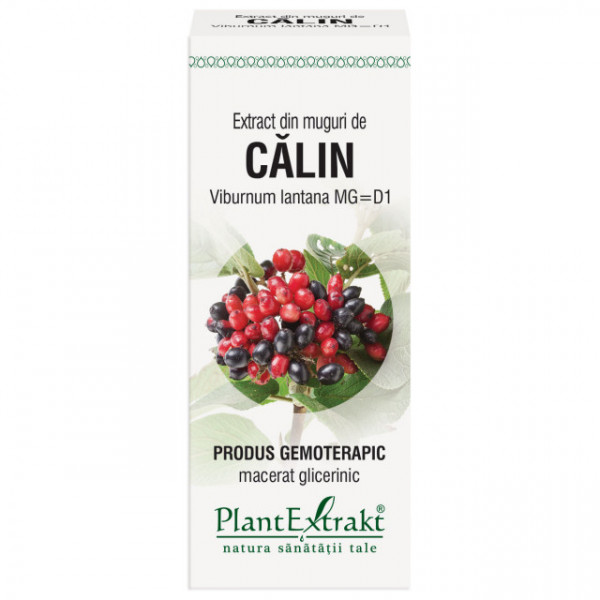 Extract din muguri de Calin 50 ml
