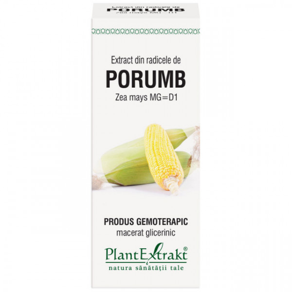 Extract din radicele porumb (ZEA MAYS)
