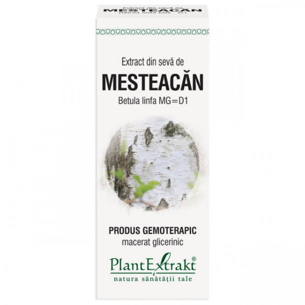 Extract din seva de mesteacan (Betula linfa MG=D1) 50ml