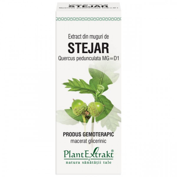 Extract din muguri de stejar (QUERCUS PED.)