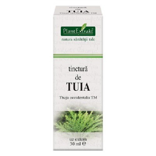 Tinctura de Tuia 30 ml (THUJA OCCIDENTALIS)