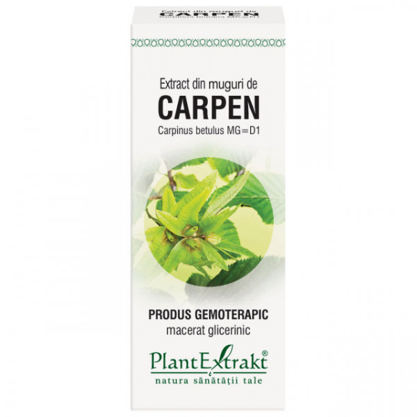 Extract din muguri de carpen 50 ml (CARPINUS BETULUS)