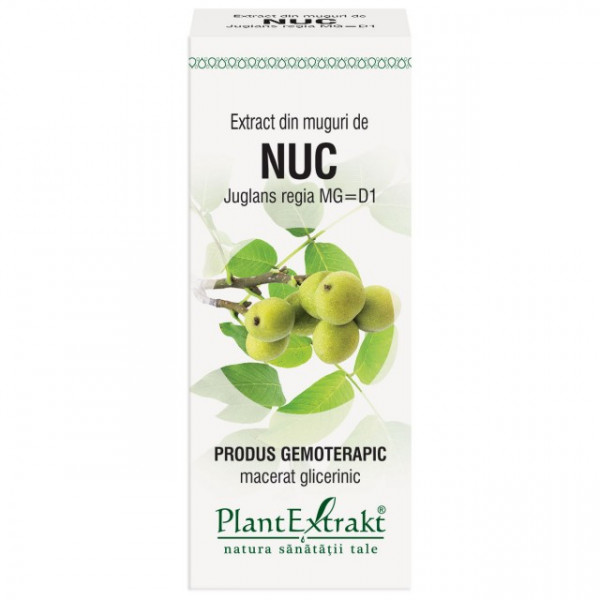 Extract din muguri de nuc (JUGLANS REGIA)