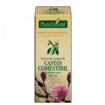 Extract din muguri de castan comestibil 50 ml (CASTANEA VESCA)