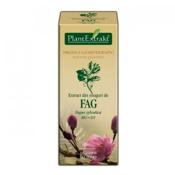 Extract din muguri de fag (FAGUS SYLVATICA)