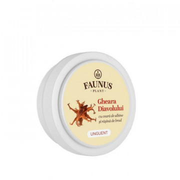 Unguent Gheara Diavolului - 20 ml