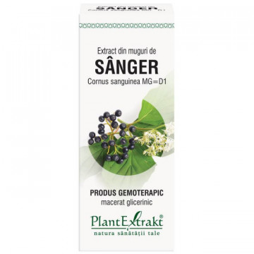 Extract din muguri de sanger (CORNUS SANGUINEA)