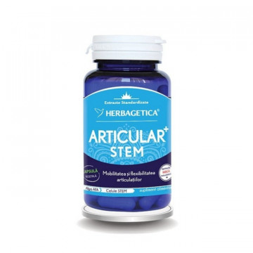 Articular STEM 60 cps