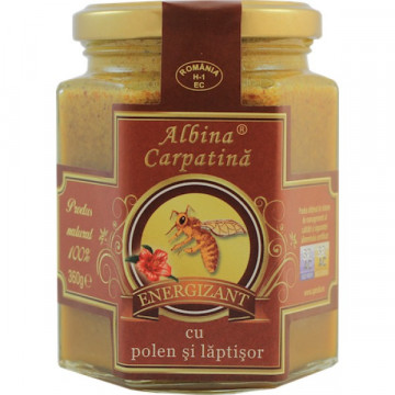 Energizant cu laptisor de matca si polen- 360 g