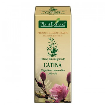 Extract din muguri de catina (HIPPOPHAE RHAMNOIDES)