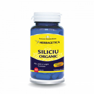 Siliciu Organic 60 cps