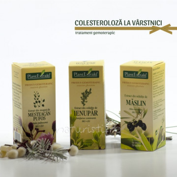Tratament naturist - Colesteroloza la varstnici (pachet)