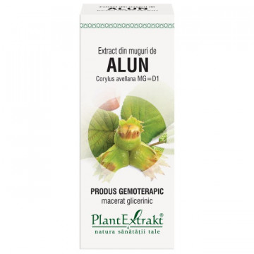 Extract din muguri de alun (CORYLUS AVELLANA)