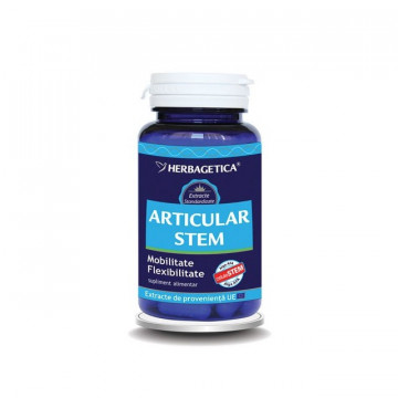 Articular STEM 60 cps