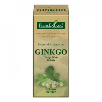 Extract din muguri de ginkgo (GINKGO BILOBA)