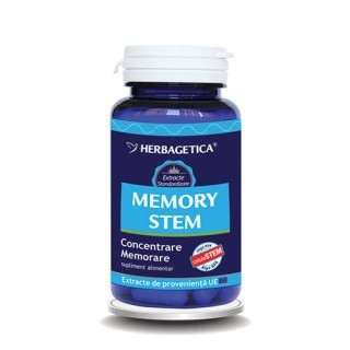 Memory STEM 30 cps