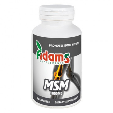 MSM 1000 mg - 90 cps