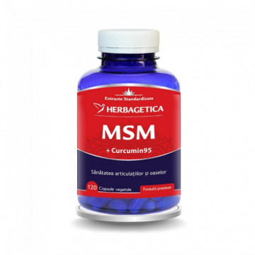 MSM - 120 cps
