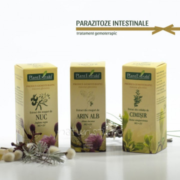 Tratament naturist - Parazitoze intestinale (pachet)