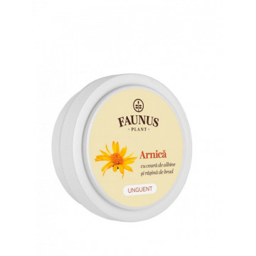 Unguent Arnica - 20 ml