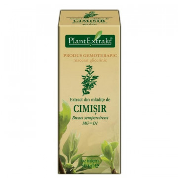 Extract din mladite cimisir 50 ml (BUXUS SEMPERVIRENS)