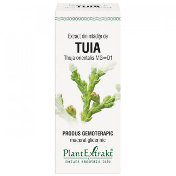 Extract din mladite de tuia (THUJA ORIENT.)